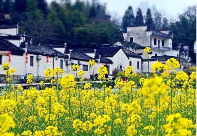 Xishan Wutong Qinyuan 황 산 외부 사진