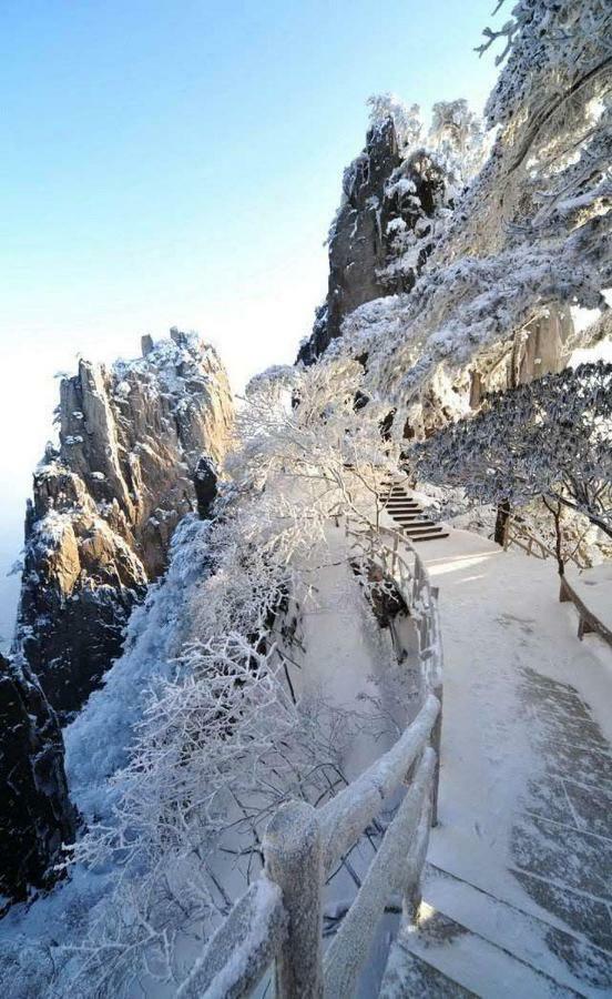 Xishan Wutong Qinyuan 황 산 외부 사진