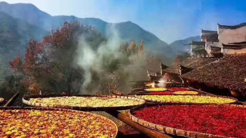 Xishan Wutong Qinyuan 황 산 외부 사진