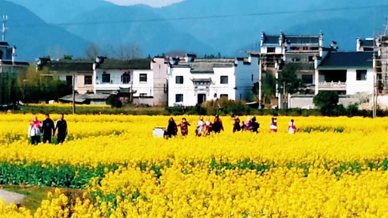 Xishan Wutong Qinyuan 황 산 외부 사진