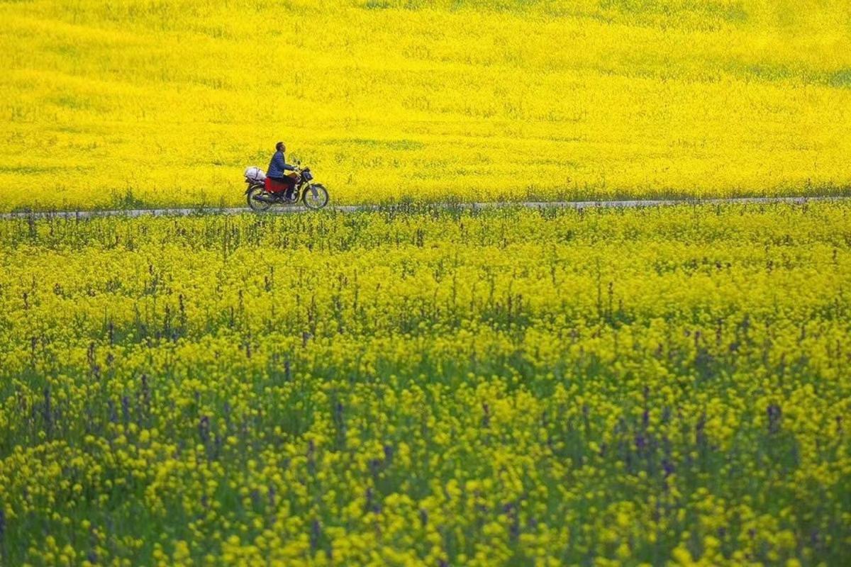 Xishan Wutong Qinyuan 황 산 외부 사진