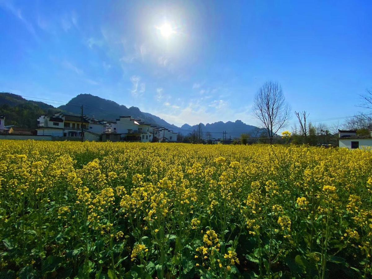 Xishan Wutong Qinyuan 황 산 외부 사진