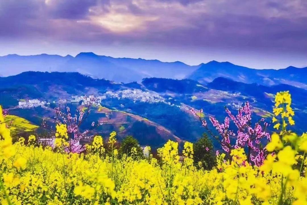 Xishan Wutong Qinyuan 황 산 외부 사진